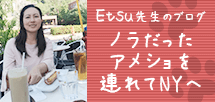 Etsu先生のブログ ノラだったアメショを連れてNYへ